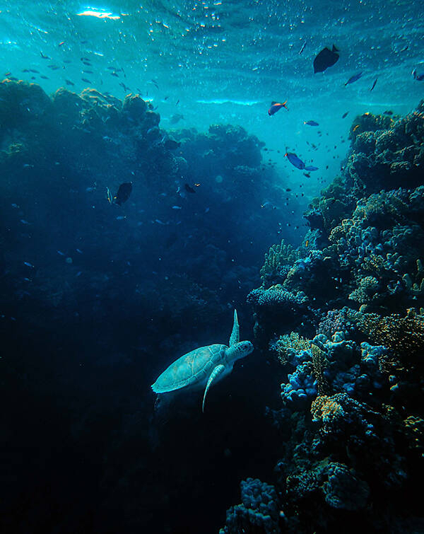 watchface-ocean-ocean-2