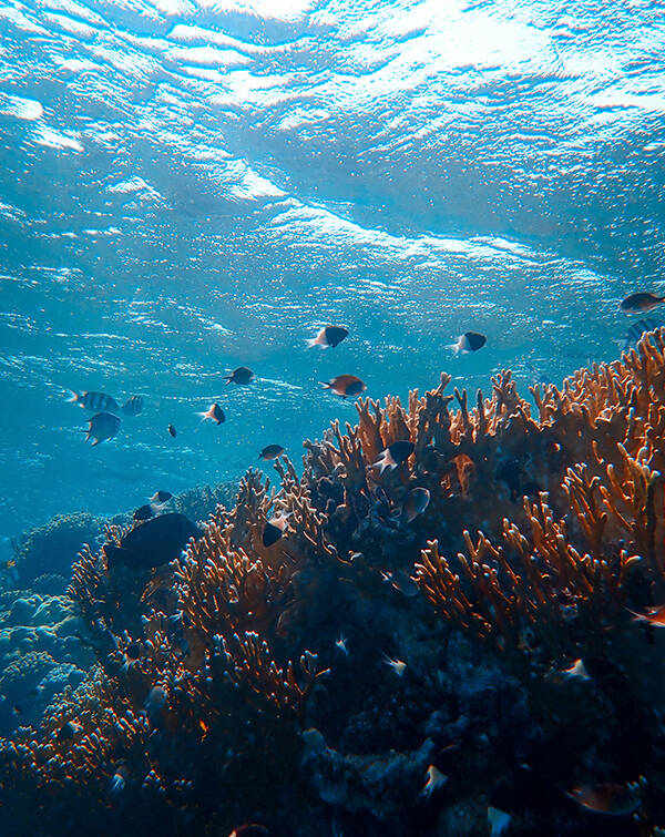 watchface-ocean-ocean-3