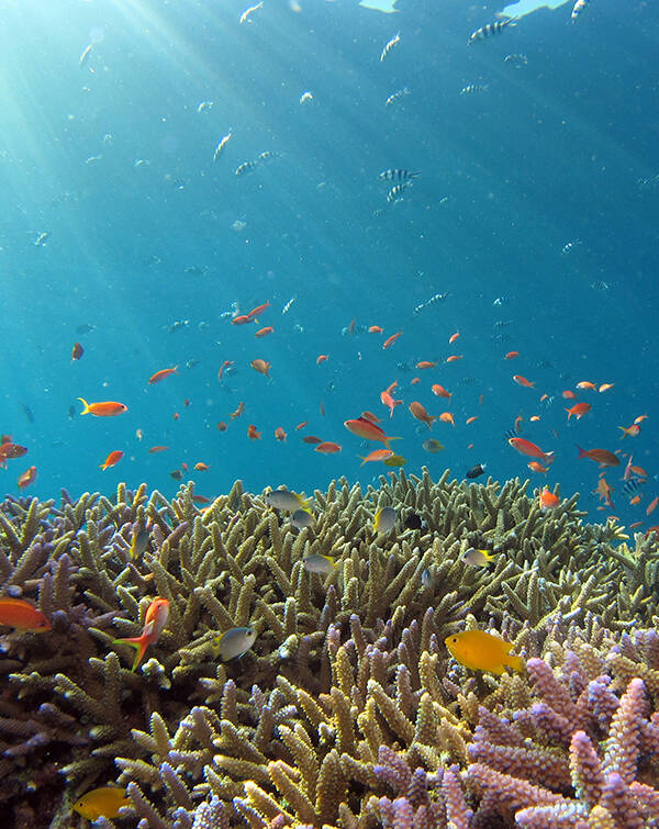 watchface-ocean-ocean-4