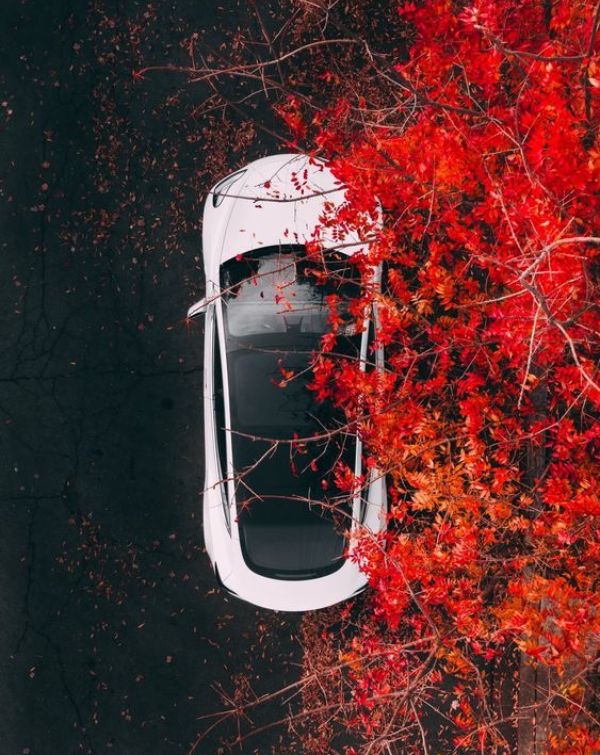 watchface-tesla-tesla-4