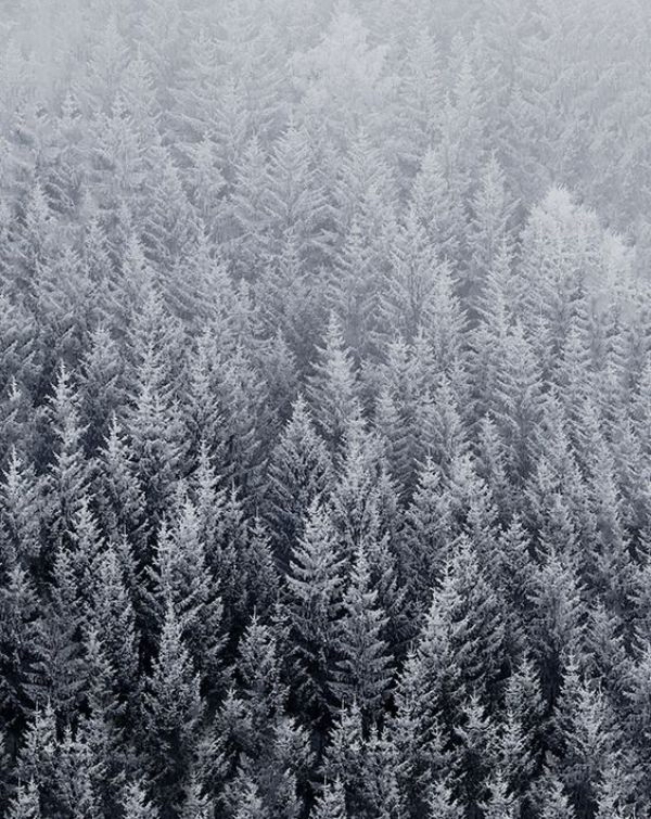 watchface-winter-winter-3