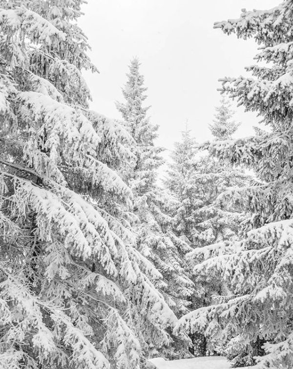 watchface-winter-winter-4